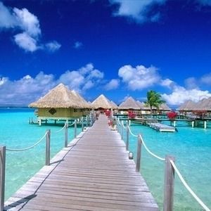 Meet your Posher, Barbara